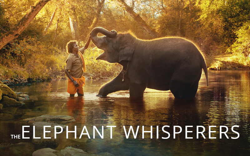 The Elephant Whisperers Makes History as First Indian Film to Win Best Documentary Short Subject at Oscars 2023